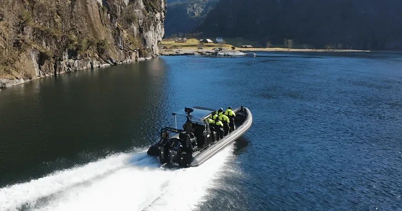 Bergen: Mostraumen fjordsafari – med premium RIB-båt